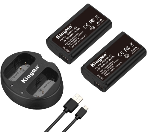 KingMa Camera Battery DMW-BLJ31 and Dual Charger Set