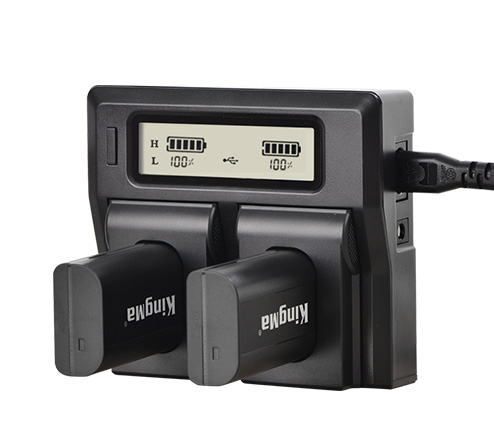 KingMa Dual LCD charger and battery kit for Panasonic DMW-BLJ31
