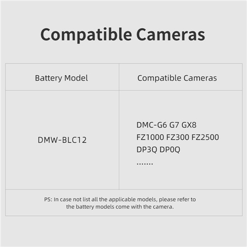 DMW-BLC12模拟电池+适配器-英文主图5